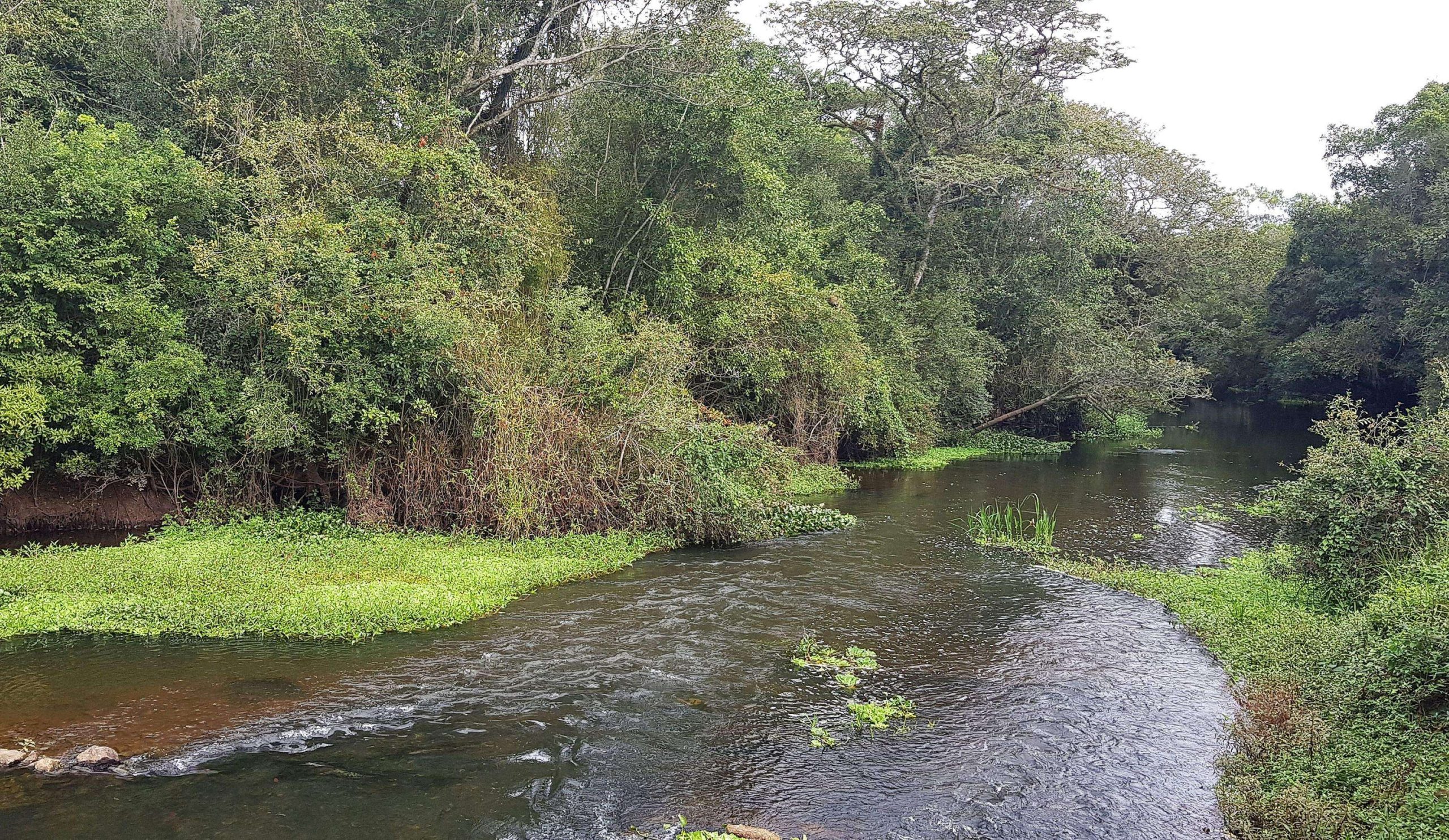 Junho EcoSustentável: município e entidades debaterão educação ambiental para o Rio Tietê